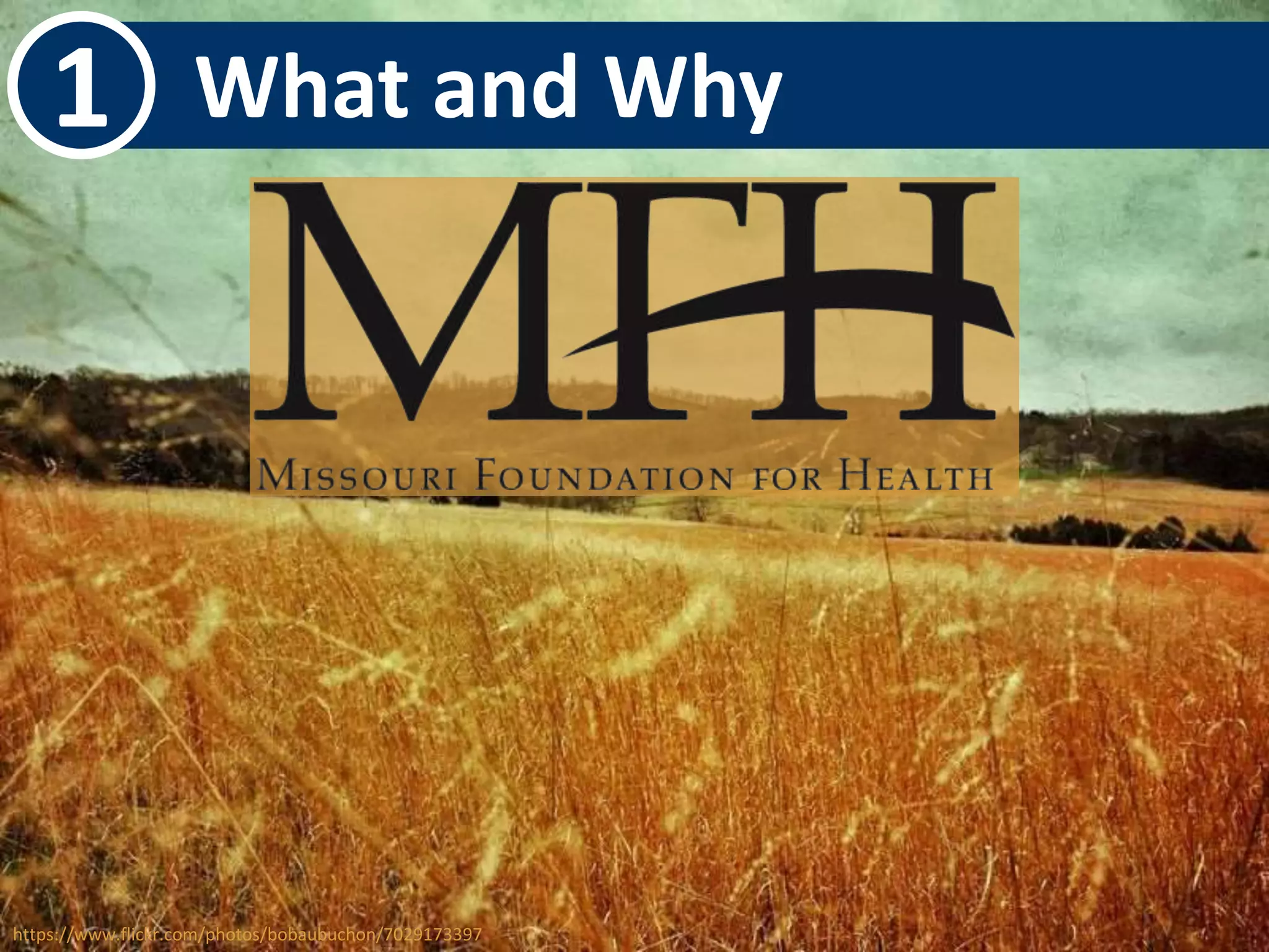 1 What and Why 
https://www.flickr.com/photos/bobaubuchon/7029173397 
 