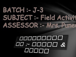 salesman garment bolsas