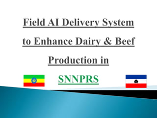 Field AI Delivery System to Enhance Dairy & Beef Production in SNNPRS 