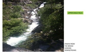 UPPER EAGLE FALLS
(TAKEN FROM
THE BRIDGE
LOOKING
DOWNSTREAM)
 