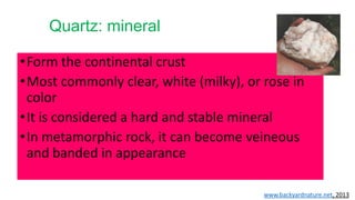 Quartz: mineral
•Form the continental crust
•Most commonly clear, white (milky), or rose in
color
•It is considered a hard and stable mineral
•In metamorphic rock, it can become veineous
and banded in appearance
www.backyardnature.net, 2013
 
