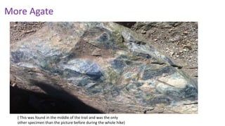 More Agate
( This was found in the middle of the trail and was the only
other specimen than the picture before during the whole hike)
 