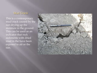 Mud CrackThis is a contemporary mud crack caused by the sun drying up the moisture in the ground. This can be used as an indicator that rock sediments with dried mud in the have been exposed to air or the sun.