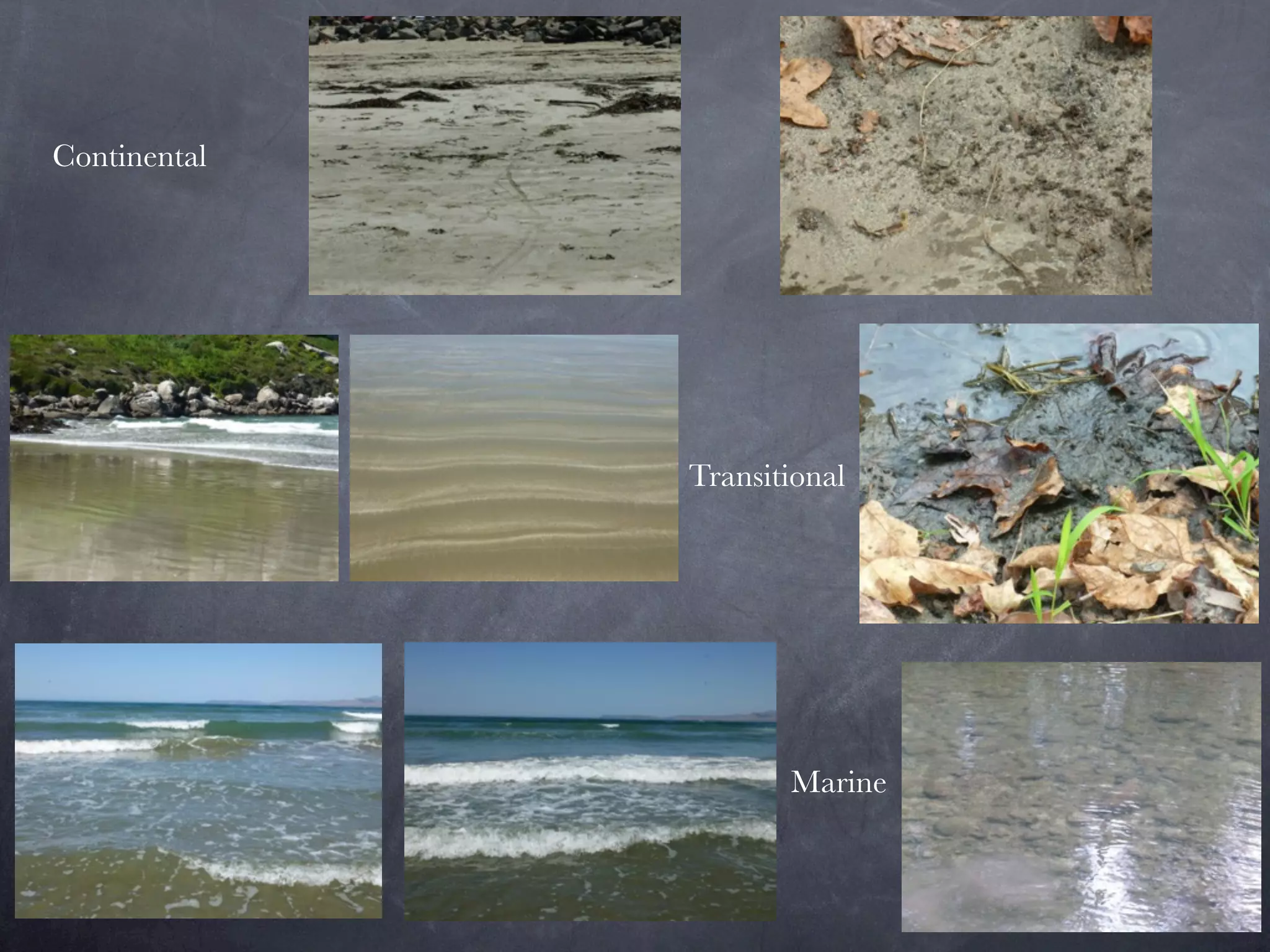 Continental




              Transitional




                     Marine
 