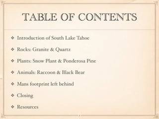 TABLE OF CONTENTS
Introduction of South Lake Tahoe

Rocks: Granite & Quartz

Plants: Snow Plant & Ponderosa Pine

Animals: Raccoon & Black Bear

Mans footprint left behind

Closing

Resources
                             2
 