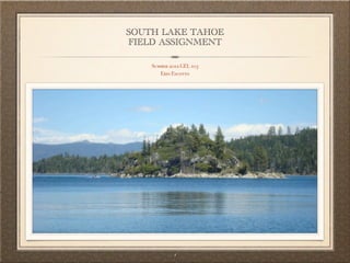 SOUTH LAKE TAHOE
FIELD ASSIGNMENT

    Summer 2012 GEL 103
       Erin Escotto




             1
 