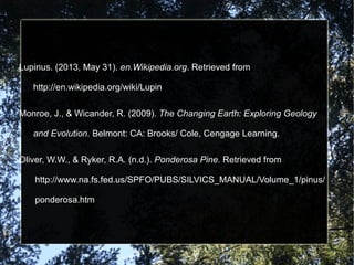 Lupinus. (2013, May 31). en.Wikipedia.org. Retrieved from
http://en.wikipedia.org/wiki/Lupin
Monroe, J., & Wicander, R. (2009). The Changing Earth: Exploring Geology
and Evolution. Belmont: CA: Brooks/ Cole, Cengage Learning.
Oliver, W.W., & Ryker, R.A. (n.d.). Ponderosa Pine. Retrieved from
http://www.na.fs.fed.us/SPFO/PUBS/SILVICS_MANUAL/Volume_1/pinus/
ponderosa.htm
 