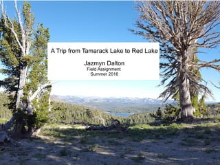 A Trip from Tamarack Lake to Red Lake
Jazmyn Dalton
Field Assignment
Summer 2016
 