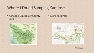 Where I Found Samples, San Jose
• Almaden Quicksilver County
Park
• Alum Rock Park
*Park maps
 