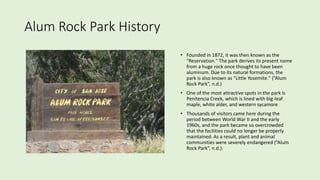Alum Rock Park History
• Founded in 1872, it was then known as the
"Reservation." The park derives its present name
from a huge rock once thought to have been
aluminum. Due to its natural formations, the
park is also known as "Little Yosemite." (”Alum
Rock Park”, n.d.)
• One of the most attractive spots in the park is
Penitencia Creek, which is lined with big-leaf
maple, white alder, and western sycamore
• Thousands of visitors came here during the
period between World War II and the early
1960s, and the park became so overcrowded
that the facilities could no longer be properly
maintained. As a result, plant and animal
communities were severely endangered (”Alum
Rock Park”, n.d.).
 