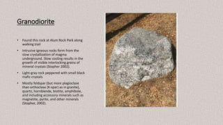 Granodiorite
• Found this rock at Alum Rock Park along
walking trail
• Intrusive igneous rocks form from the
slow crystallization of magma
underground. Slow cooling results in the
growth of visible interlocking grains of
mineral crystals (Stopher 2002).
• Light-gray rock peppered with small black
mafic crystals
• Mostly feldspar (but more plagioclase
than orthoclase (K-spar) as in granite),
quartz, hornblende, biotite, amphibole,
and including accessory minerals such as
magnetite, pyrite, and other minerals
(Stopher, 2002).
 