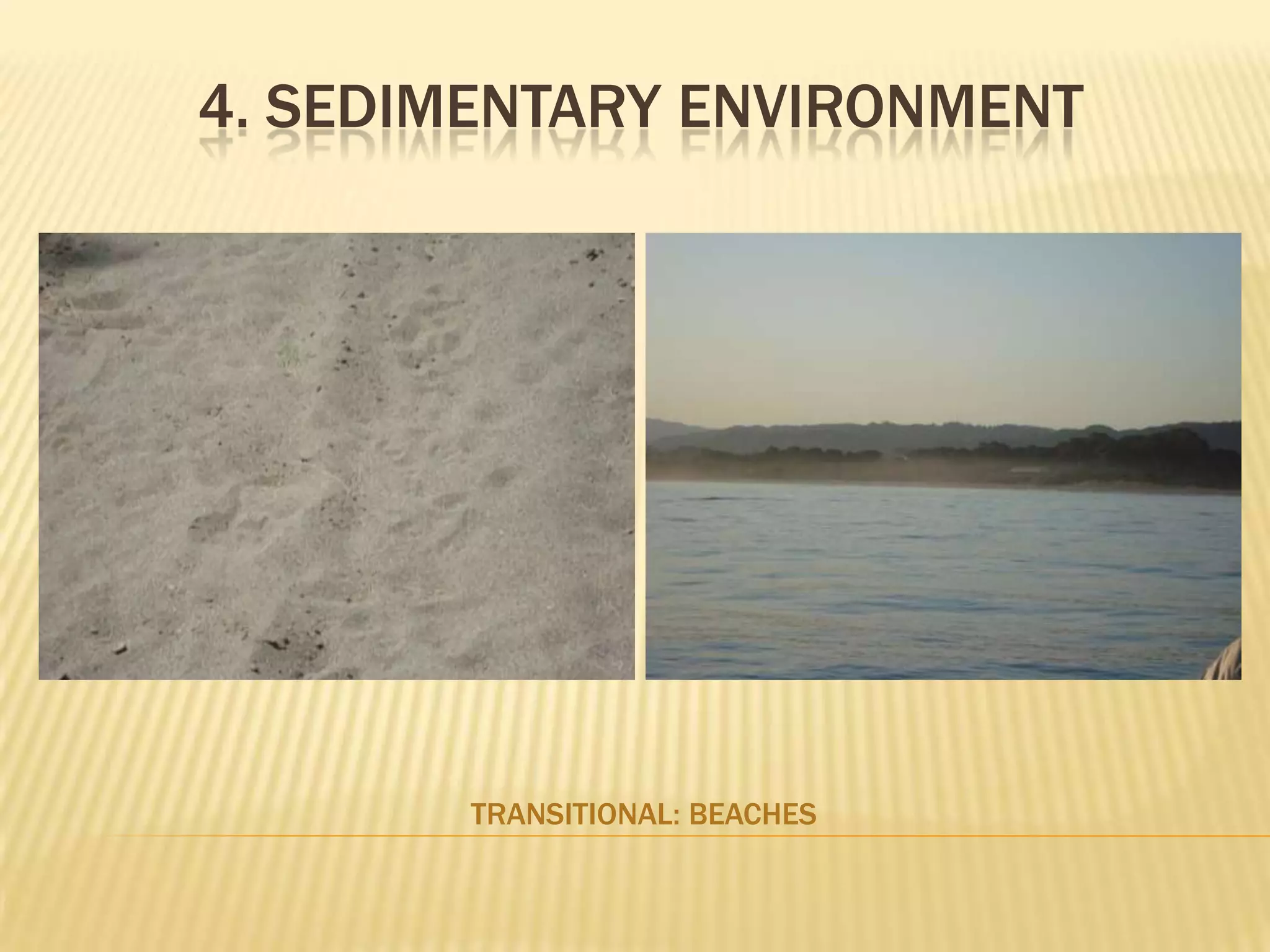 4. Sedimentary environmentTransitional: Beaches
