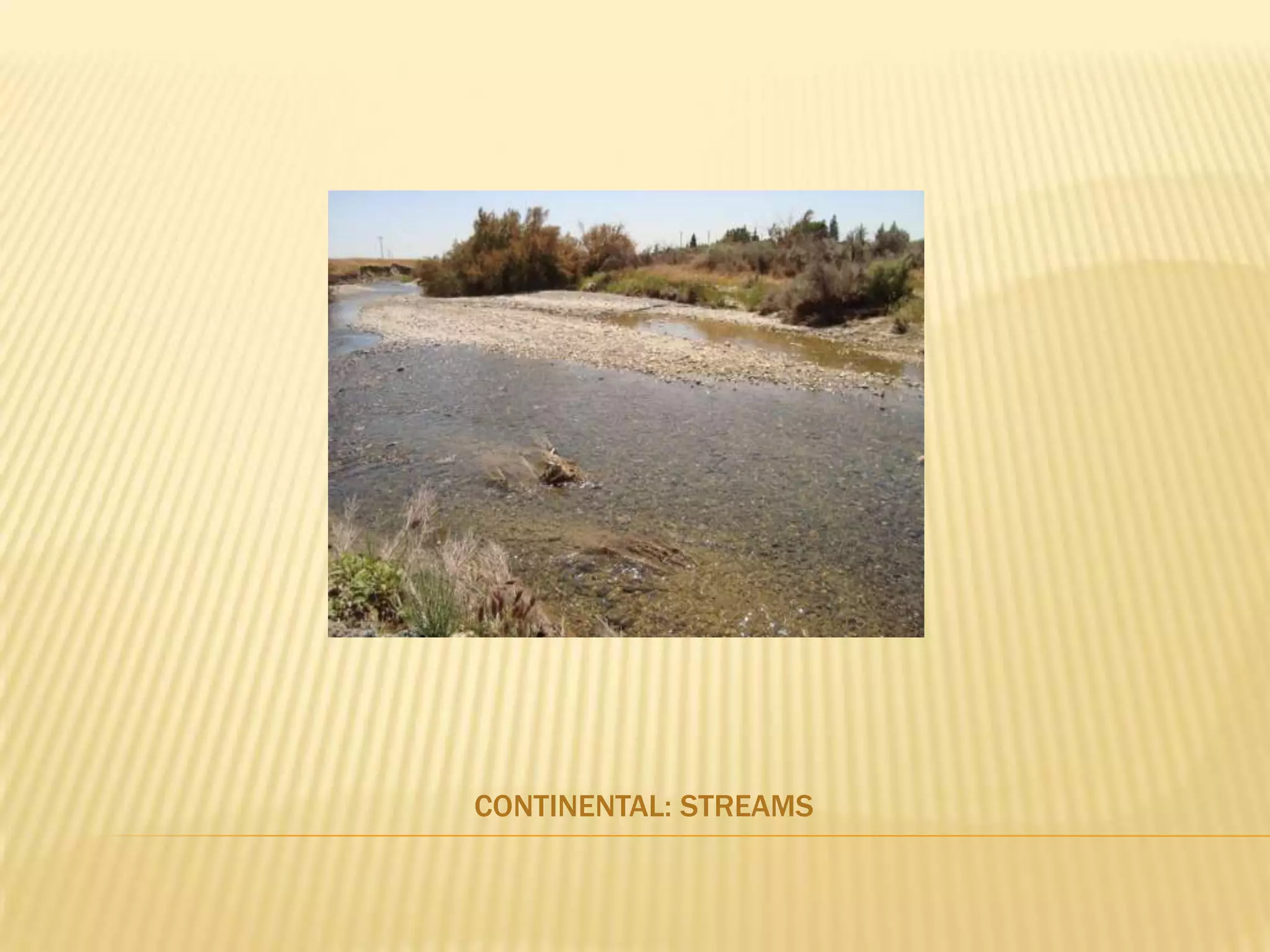 Continental: Streams