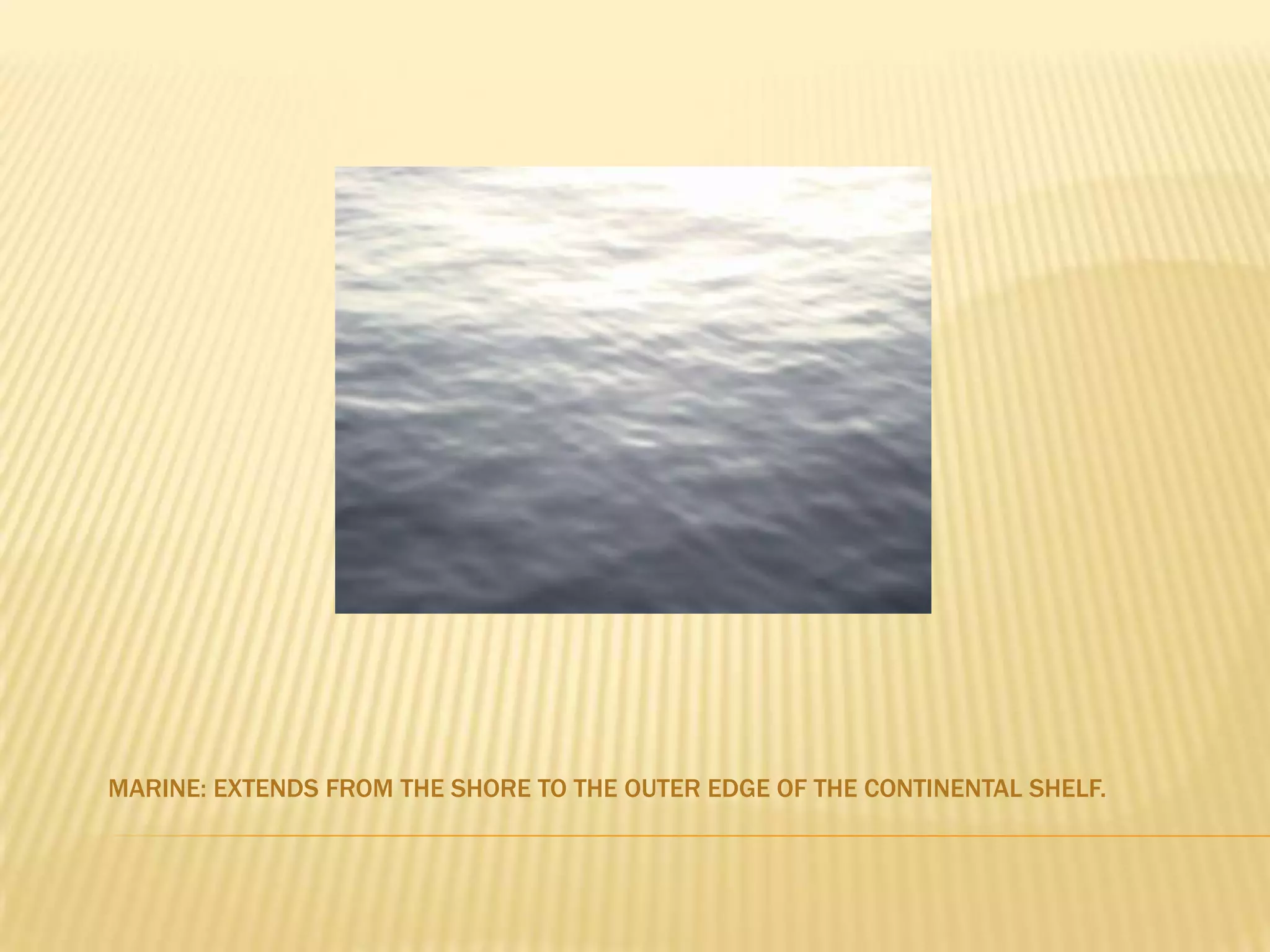 Marine: Extends from the shore to the outer edge of the continental shelf.