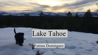 Lake Tahoe
Fatima Dominguez
 