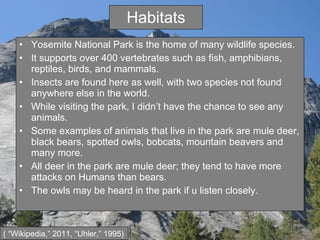 Habitats Yosemite National Park is the home of many wildlife species. It supports over 400 vertebrates such as fish, amphibians, reptiles, birds, and mammals.  Insects are found here as well, with two species not found anywhere else in the world. While visiting the park, I didn’t have the chance to see any animals. Some examples of animals that live in the park are mule deer, black bears, spotted owls, bobcats, mountain beavers and many more. All deer in the park are mule deer; they tend to have more attacks on Humans than bears. The owls may be heard in the park if u listen closely. ( “Wikipedia,” 2011, “Uhler,” 1995) 