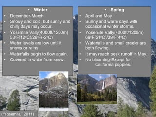 Winter December-March Snowy and cold, but sunny and chilly days may occur. Yosemite Vally(4000ft/1200m) 53 o F(12 o C)/28 o F(-2 o C) Water levels are low until it snows or rains. Waterfalls begin to flow again. Covered in white from snow. Spring April and May Sunny and warm days with occasional winter storms. Yosemite Vally(4000ft/1200m) 69 o F(21 o C)/39 o F(4 o C) Waterfalls and small creeks are both flowing. It may reach peak runoff in May. No blooming-Except for  California poppies. (“Yosemite,” 2011) 