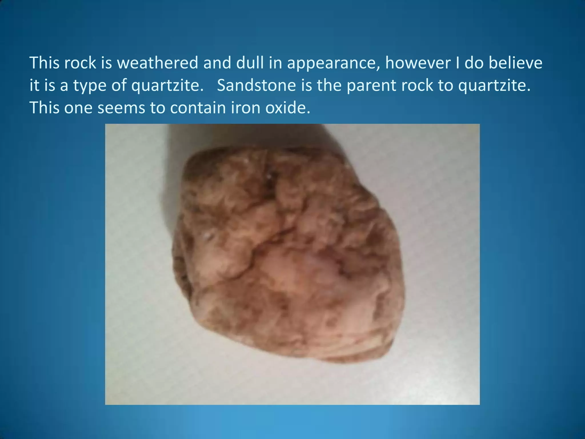 This rock is weathered and dull in appearance, however I do believe
it is a type of quartzite. Sandstone is the parent rock to quartzite.
This one seems to contain iron oxide.
 