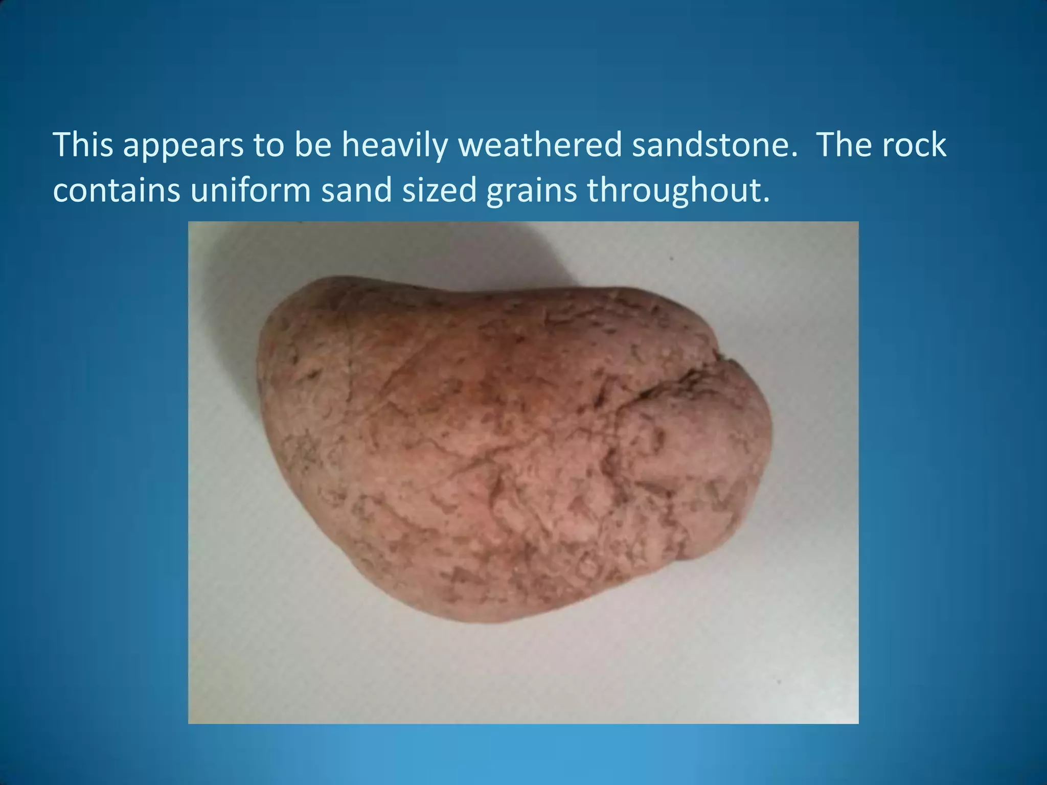This appears to be heavily weathered sandstone. The rock
contains uniform sand sized grains throughout.
 