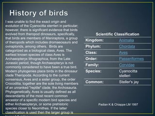 Nesting facts - incubation of 16 days for a clutch of 2-6 eggs.  Their eggs are usually Bluish-green spotted dark brown, purplish, or olive.