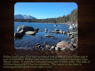 Fallen Leaf Lake- This lake is located just south of Lake Tahoe and it
just as beautiful. Fallen Leaf was formed by 2 glaciers from the Glen
Alpine valley. It stretches 2.9 miles long and .9 miles wide. This lake is
415 feet deep at 6377 feet in elevation. The water in this lake is
exchanged(refreshed) every eight years!
Photo By Mark Herron
 