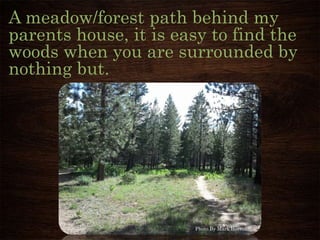 A meadow/forest path behind my
parents house, it is easy to find the
woods when you are surrounded by
nothing but.
Photo By Mark Herron
 