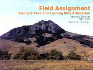 Field AssignmentBishop’s Peak and Leaning Pine Arboretum  Amanda Nelson GEL 103 Professor Lawler 