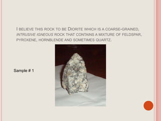 I believe this rock to be Diorite which is a coarse-grained, intrusive igneous rock that contains a mixture of feldspar, pyroxene, hornblende and sometimes quartz. Sample # 1