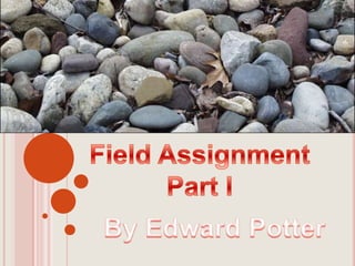 Field Assignment Part I By Edward Potter 