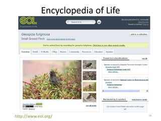 Encyclopedia of Life




http://www.eol.org/                 18
 