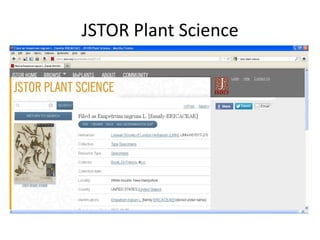 JSTOR Plant Science
 