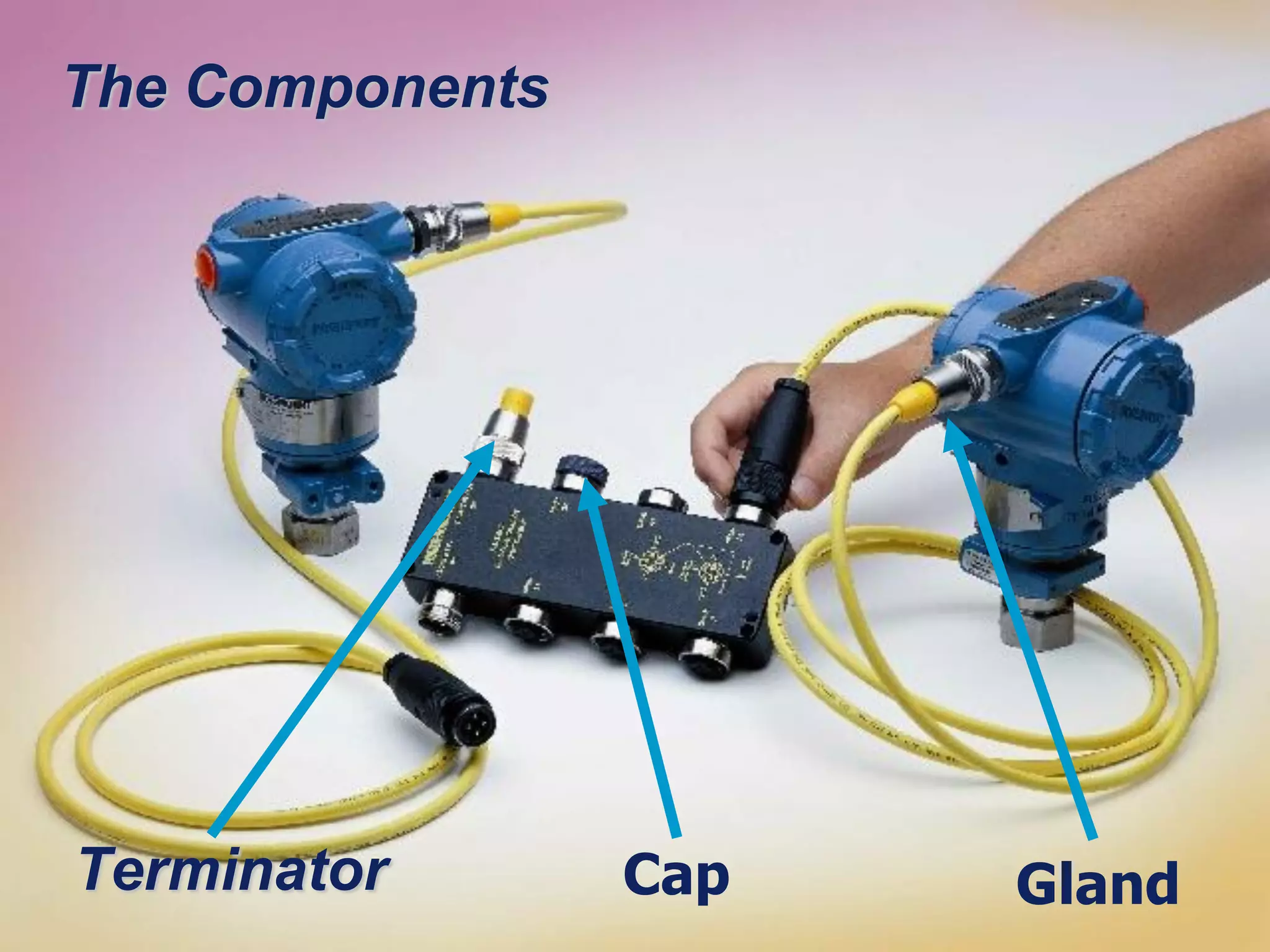 [File Name or Event]
Emerson Confidential
27-Jun-01, Slide 65
GlandCapTerminator
The Components
 