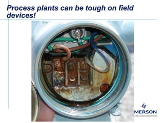 [File Name or Event]
Emerson Confidential
27-Jun-01, Slide 13
Process plants can be tough on field
devices!
 