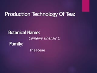 Introdection Prodection Technology of TEA | PPTX