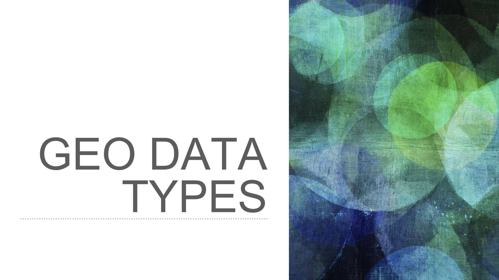 GEO DATA TYPES 