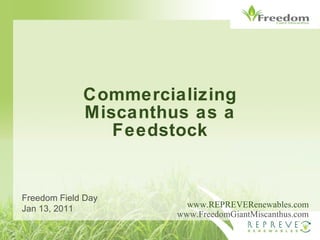 Commercializing Miscanthus as a Feedstock www.REPREVERenewables.com www.FreedomGiantMiscanthus.com Freedom Field Day Jan 13, 2011 