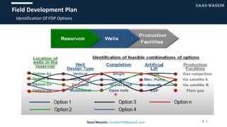 Comprehensive Field Development Plan for Petroleum Engineering Projects ...