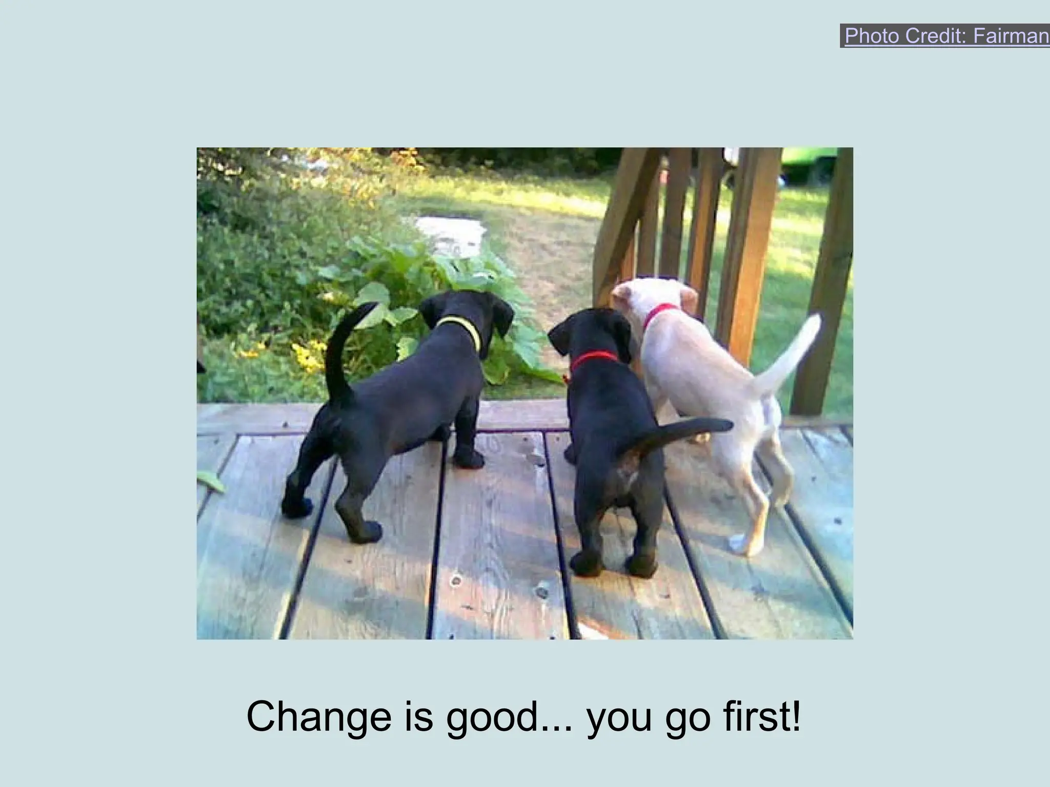 Photo Credit: Fairman




Change is good... you go first!
 