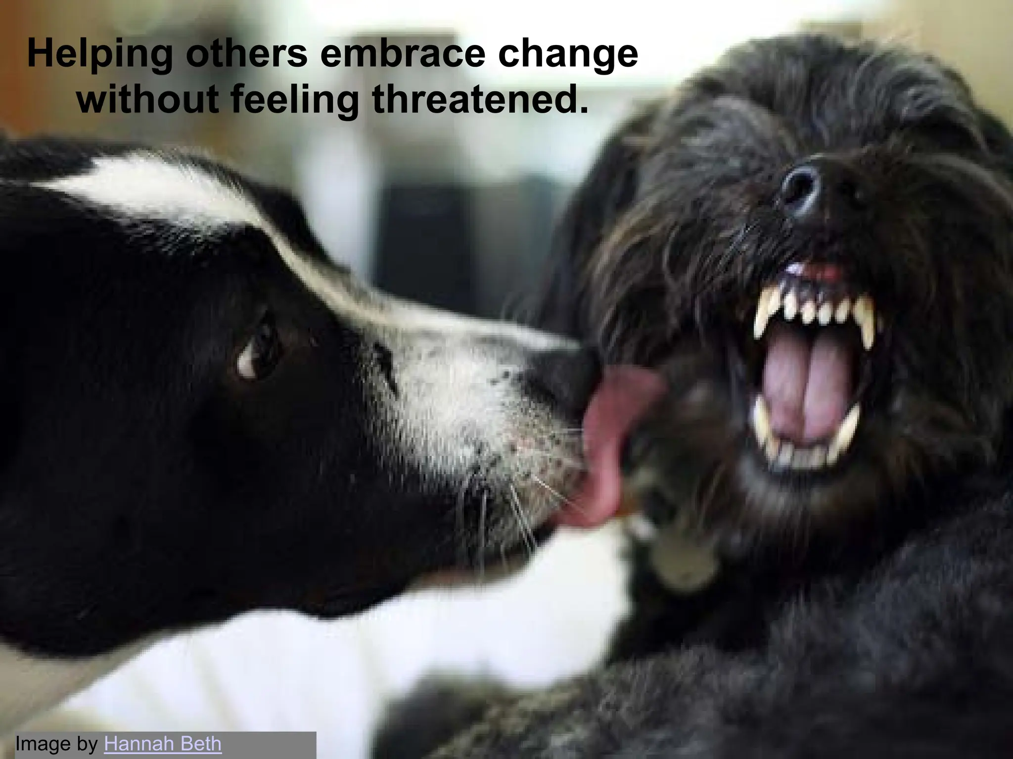 Helping others embrace change
   without feeling threatened.




Image by Hannah Beth
 