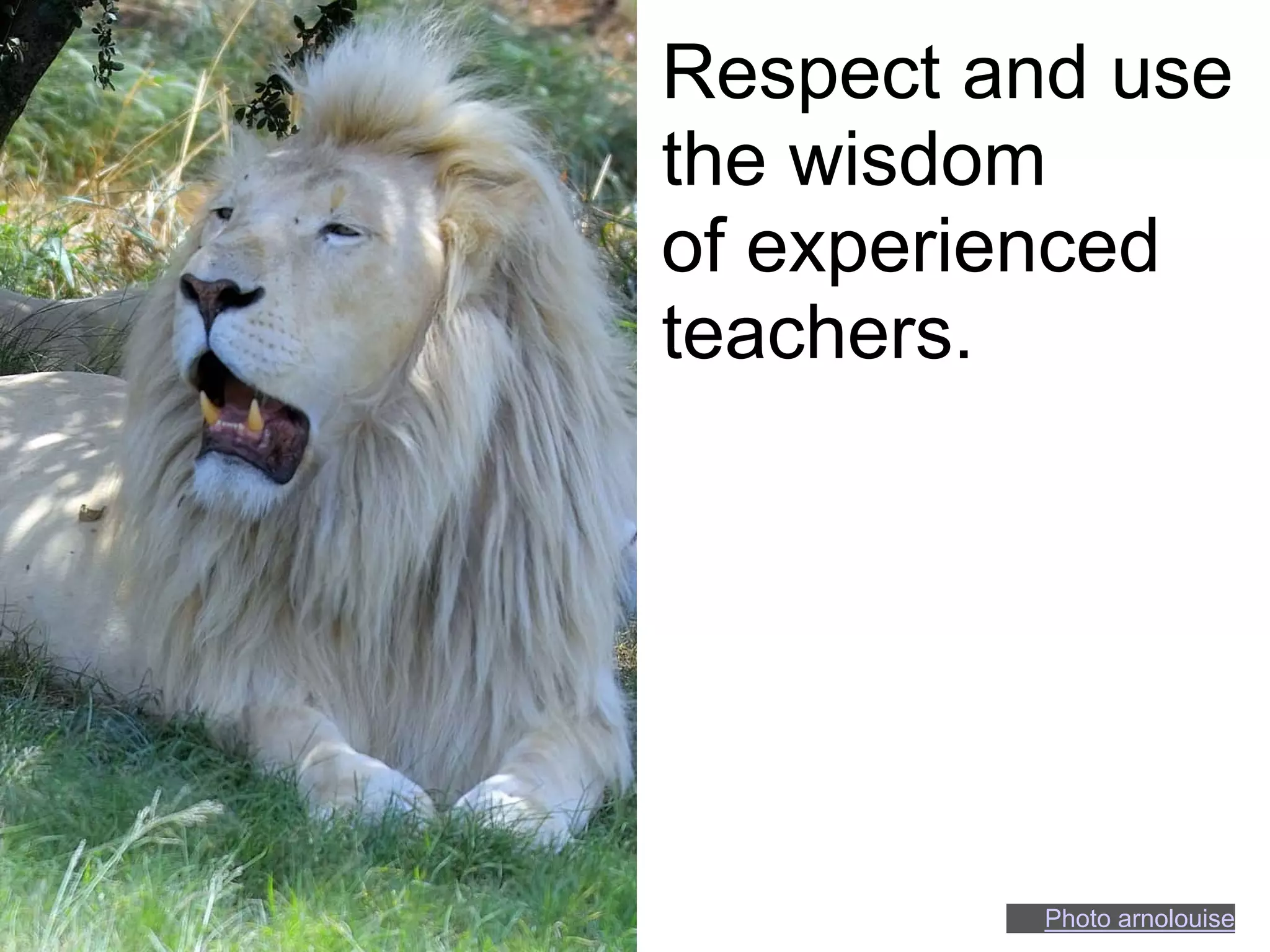Respect and use
the wisdom
of experienced
teachers.




          Photo arnolouise
 