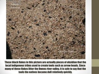 Edward
     Espinoza




                                                   Obsidian Flakes



These black flakes in this picture are actually pieces of obsidian that the
 local indigenous tribes used to create tools such as arrow heads. Since
many of these flakes litter the Owens river valley, it is safe to say that the
             tools the natives became dull relatively quickly.
 