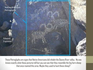 Native American
 Petroglyphs




Edward
Espinoza




 These Petroglyphs are signs that Native Americans did inhabit the Owens River valley. No one
 knows exactly what these pictures tell but you can see that they resemble the big horn sheep
              that once roamed this area. Maybe they used to hunt these sheep?
 