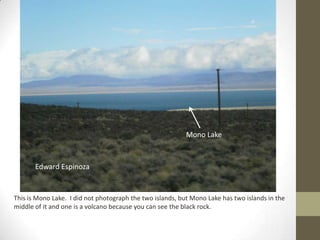 Mono Lake


       Edward Espinoza


This is Mono Lake. I did not photograph the two islands, but Mono Lake has two islands in the
middle of it and one is a volcano because you can see the black rock.
 