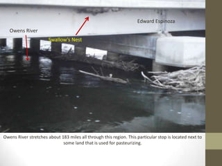 Edward Espinoza
   Owens River
                       Swallow’s Nest




Owens River stretches about 183 miles all through this region. This particular stop is located next to
                             some land that is used for pasteurizing.
 