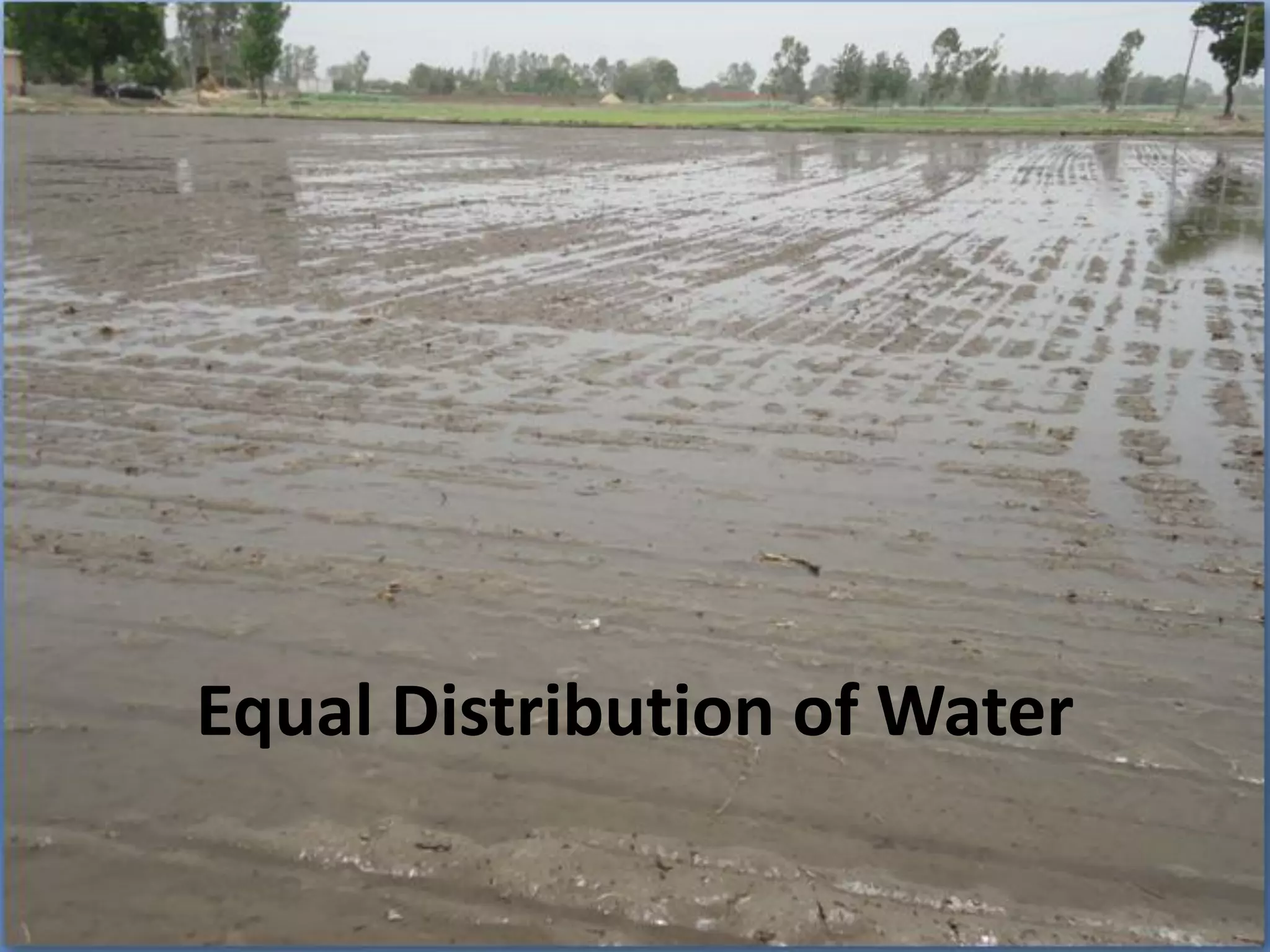 Equal Distribution of Water
 