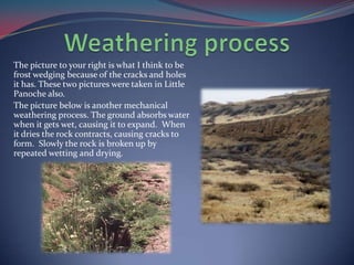 Weathering processThe picture to your right is what I think to be frost wedging because of the cracks and holes it has. These two pictures were taken in Little Panoche also. The picture below is another mechanical weathering process. The ground absorbs water when it gets wet, causing it to expand.  When it dries the rock contracts, causing cracks to form.  Slowly the rock is broken up by repeated wetting and drying. 