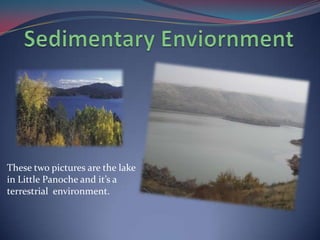 Sedimentary EnviornmentThese two pictures are the lake  in Little Panoche and it’s a terrestrial  environment. 