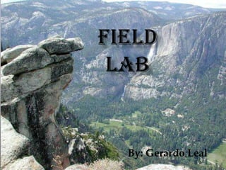 Field Lab By: Gerardo Leal 