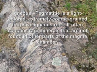 Igneous –Pegmatitie is a light-colored, extremely coarse-grained intrusive igneous rock. It often contains rare minerals that are not found in other parts of the magma chamber.