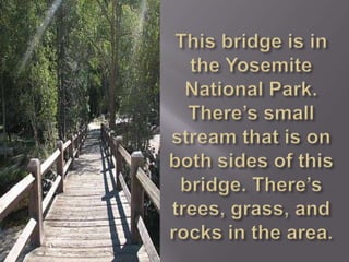This bridge is in the Yosemite National Park. There’s small stream that is on both sides of this bridge. There’s trees, grass, and rocks in the area.